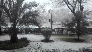 Snow, Weather, Winter, Landscape, Trees, Tree