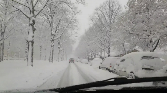 Snow, Winter, Cold, Ice, Windshield Wiper, Landscape