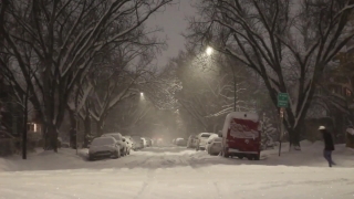 Snowplow, Motor Vehicle, Snow, Wheeled Vehicle, Winter, Cold
