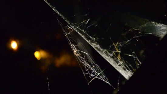 Spider Web, Cobweb, Web, Black, Night, Spider