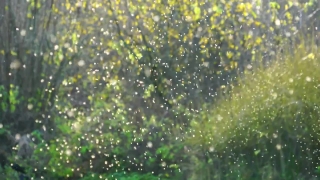 Spider Web, Web, Texture, Liquid, Water, Wet