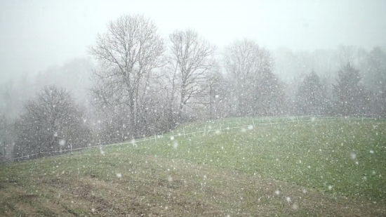 Sprinkler, Mechanical Device, Snow, Mechanism, Winter, Tree