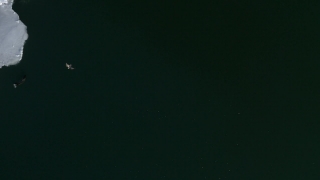 Star, Celestial Body, Night, Space, Astronomy, Galaxy