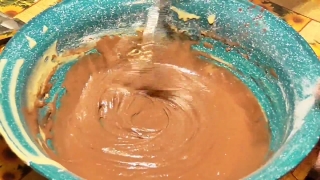 Stingray, Ray, Water, Flour, Wet, Pool