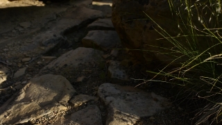 Stone, Rock, River, Water, Landscape, Forest