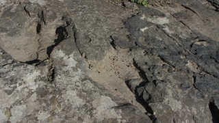 Stone, Sand, Snake, Rock, Texture, Rough