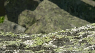 Stone Wall, Fence, Rock, Barrier, Stone, Mountain