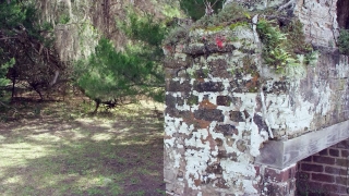 Stone Wall, Tree, Fence, Landscape, Mountain, Barrier