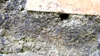 Stucco, Texture, Rough, Wall, Surface, Stone