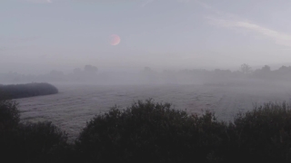Sun, Ocean, Sky, Star, Sunset, Shoreline