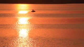 Sun, Ocean, Sunset, Beach, Sea, Water