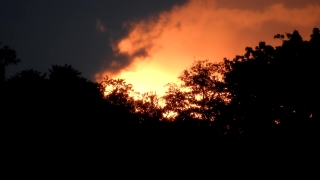 Sun, Sky, Star, Sunset, Celestial Body, Atmosphere