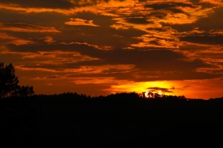 Sun, Sky, Star, Sunset, Celestial Body, Atmosphere