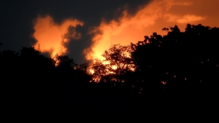 Sun, Star, Celestial Body, Sky, Sunset, Clouds
