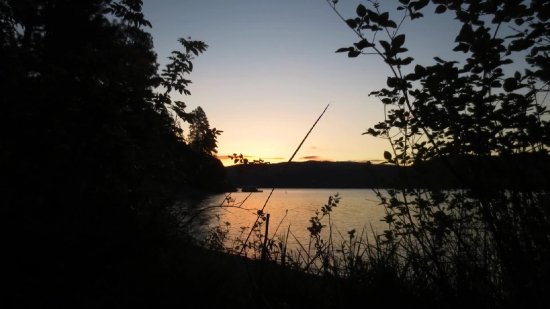 Sun, Sunset, Lighting, Tree, Sky, Apparatus