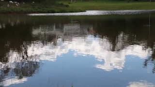 Swamp, Lake, Water, Landscape, Wetland, Reflection