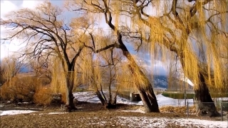 Swamp, Wetland, Cave, Land, Park, Landscape