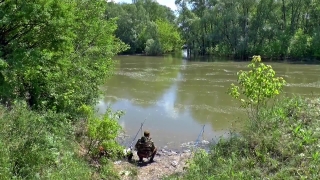 Swamp, Wetland, Land, River, Tree, Lake