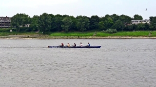Sweep, Oar, Water, Boat, Sea, Ocean