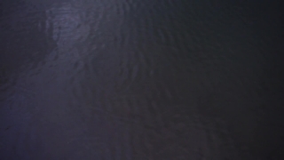 Texture, Material, Pattern, Leather, Surface, Hide