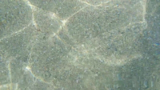 Texture, Old, Pattern, Vintage, Reef, Rough