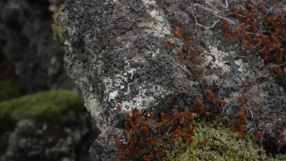 Texture, Rough, Surface, Stone, Hole, Pattern
