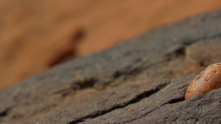Texture, Stone, Surface, Pattern, Old, Material