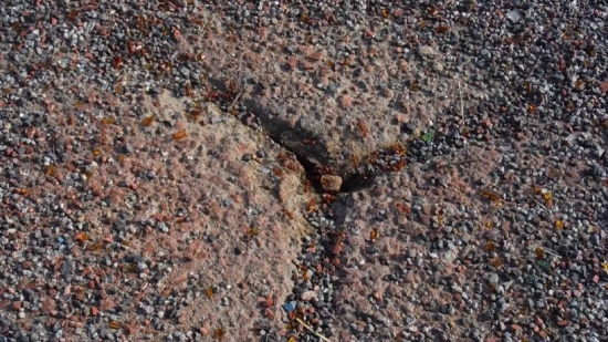 Texture, Surface, Stone, Knoll, Pattern, Arthropod