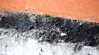 Texture, Wall, Rough, Pattern, Dirty, Surface