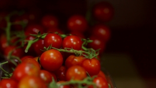 Tomato, Vegetable, Fruit, Tomatoes, Food, Berry