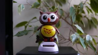 Toy, Fun, Plaything, Play, Teddy, Stapler