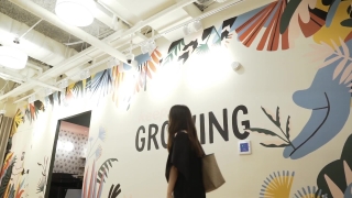 Tracing, Silhouette, Boutique, Business, Design, People