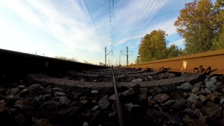Track, Landscape, Sky, Rural, Tree, Field
