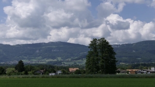 Tree, Grass, Sky, Landscape, Highland, Field