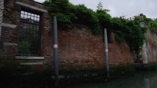 Tree, Grass, Trees, Landscape, House, Architecture