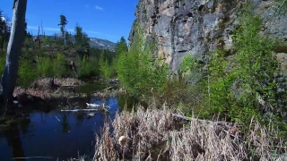 Tree, Landscape, Forest, River, Water, Mountain