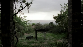 Tree, Landscape, Park Bench, Bench, Trees, Grass