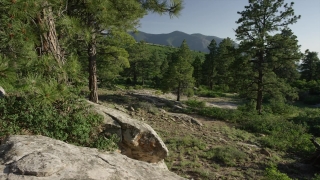 Tree, Landscape, Wilderness, Mountains, River, Mountain