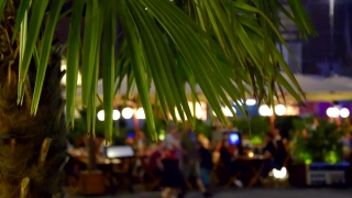 Tree, Plant, Tropical, Summer, Grass, Holiday