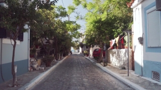 Tree, Road, Trees, Sidewalk, Landscape, Travel