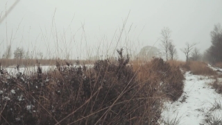 Tree, Snow, Landscape, Winter, Sky, Vascular Plant