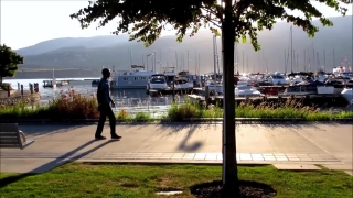 Tree, Trees, Lakeside, Landscape, Golf, Shore