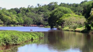Tree, Water, Lake, Landscape, River, Forest