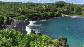 Tree, Water, Landscape, Beach, Sea, Coast