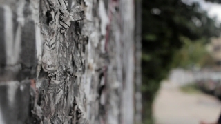 Tree, Wood, Texture, Bark, Rough, Old