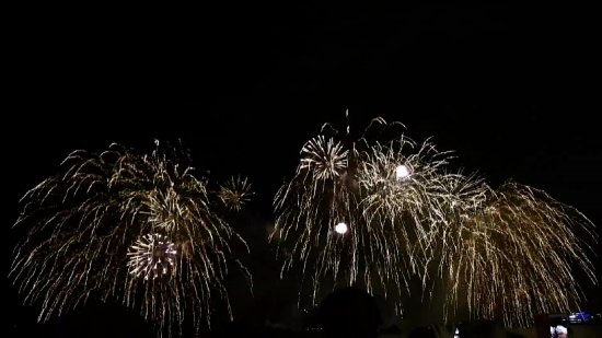 Tree, Woody Plant, Cabbage Tree, Firework, Fireworks, Night