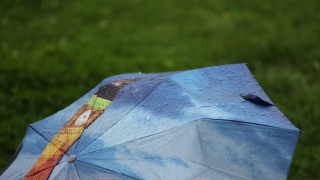 Umbrella, Canopy, Shelter, Parasol, Protective Covering, Covering