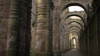 Vault, Roof, Architecture, Arch, Column, Old