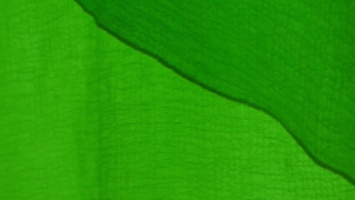 Velvet, Fabric, Texture, Pattern, Textured, Plant