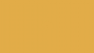 Background Video, Video Background, Background, Motion Background, Background Animation, No Copyright Video